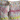Chanel Heart Motif Pink Yellow Striped Knit Short Sleeve Sweater